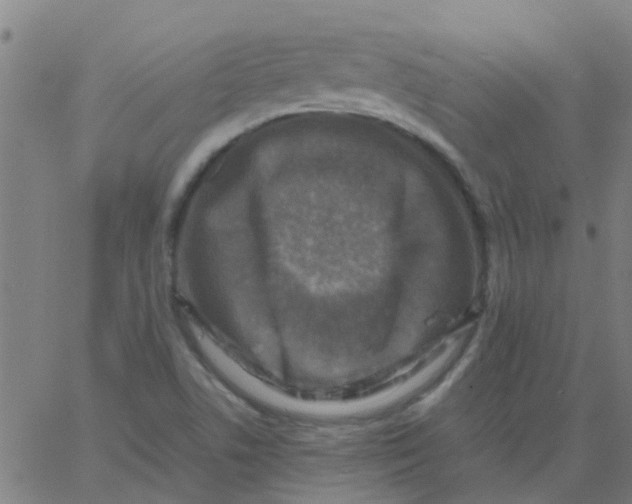 X0000066101506200603312012