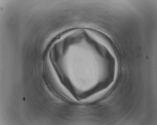 X0000066101507200603312012