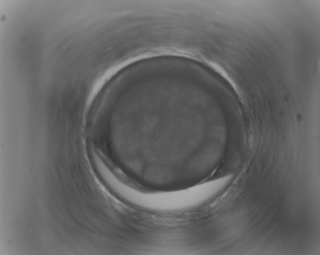 X0000066101508200603312012