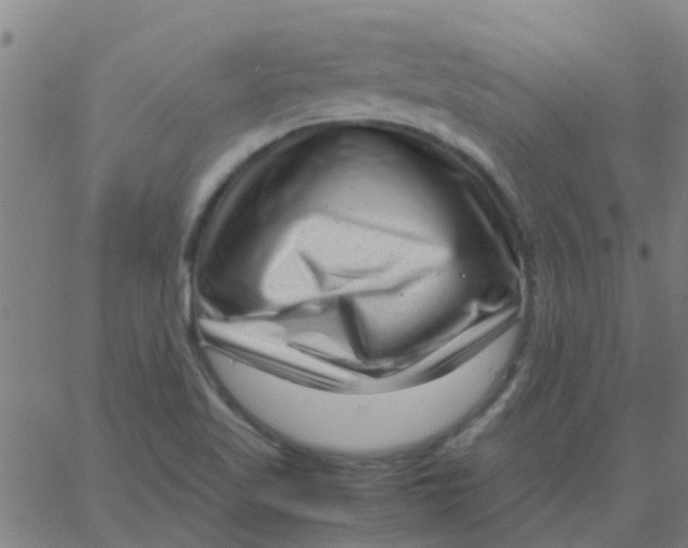 X0000066101509200603312012