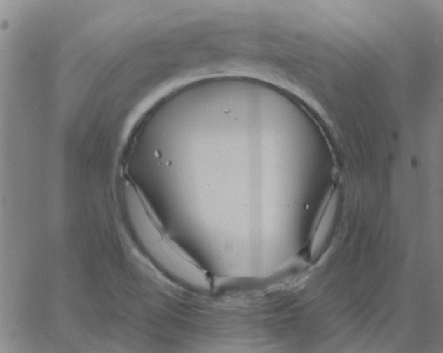 X0000066101510200603312012