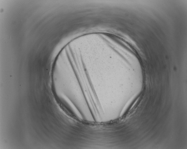 X0000066101512200603312012