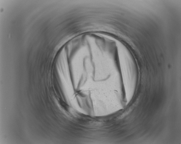 X0000066101513200603312012