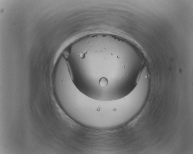 X0000066101514200603312012