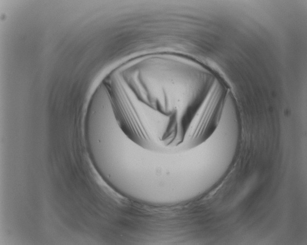 X0000066101516200603312012