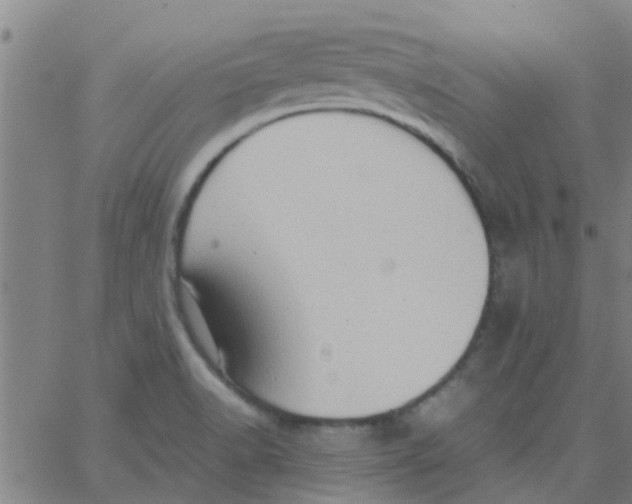 X0000066101518200603312012