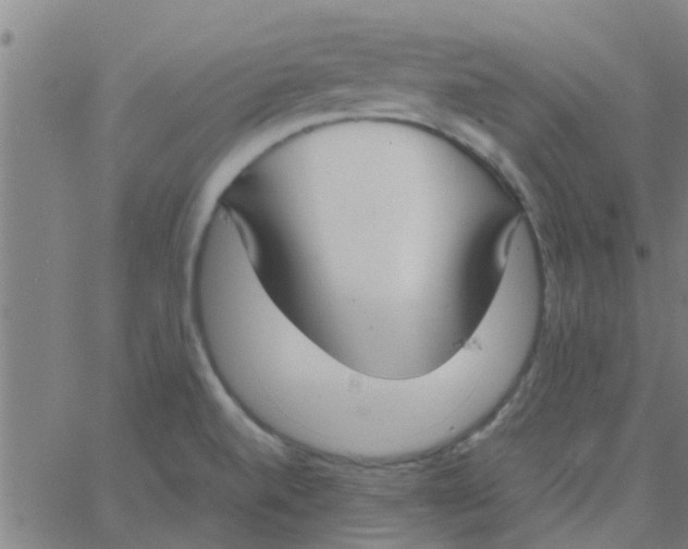 X0000066101520200603312012