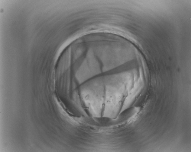 X0000066101522200603312012