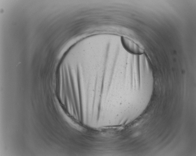 X0000066101523200603312012