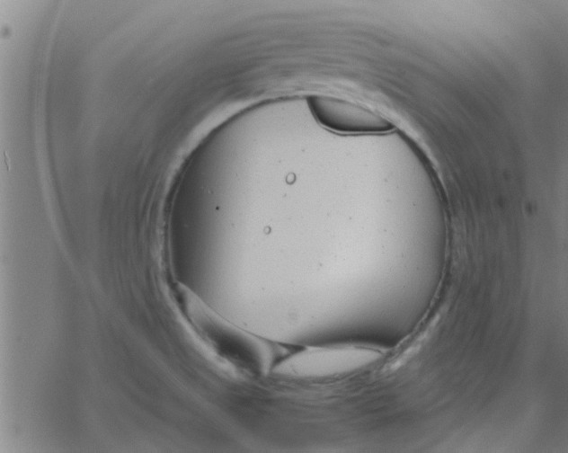 X0000066101525200603312012