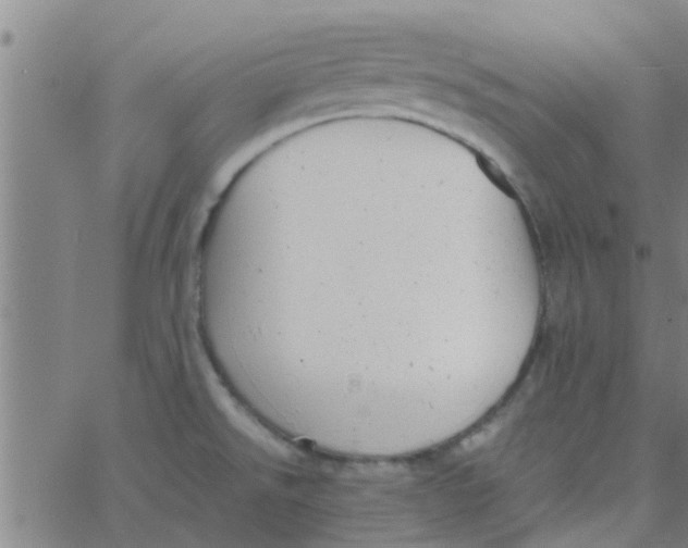 X0000066101526200603312012