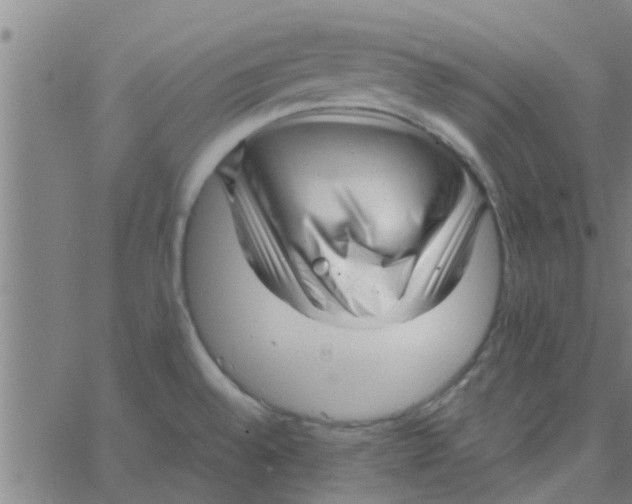 X0000066101528200603312012