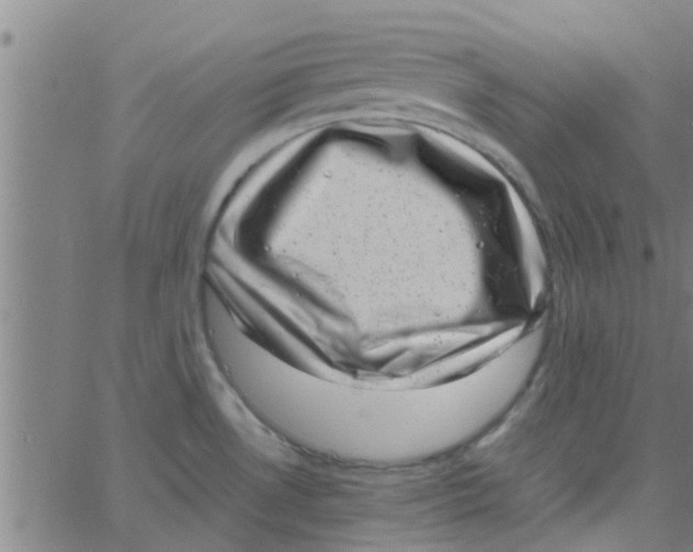 X0000066101530200603312012