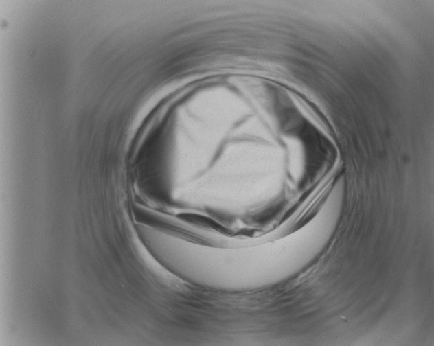 X0000066101531200603312012