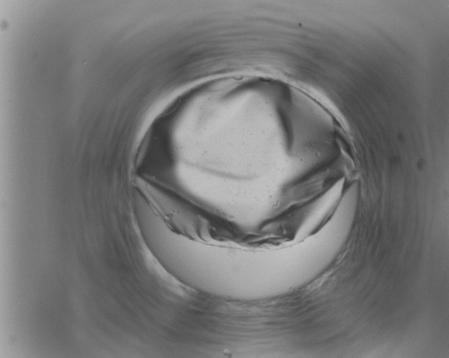 X0000066101532200603312012