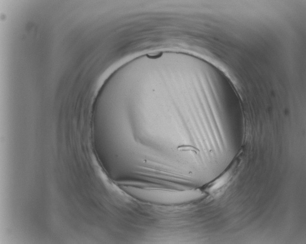 X0000066101534200603312012