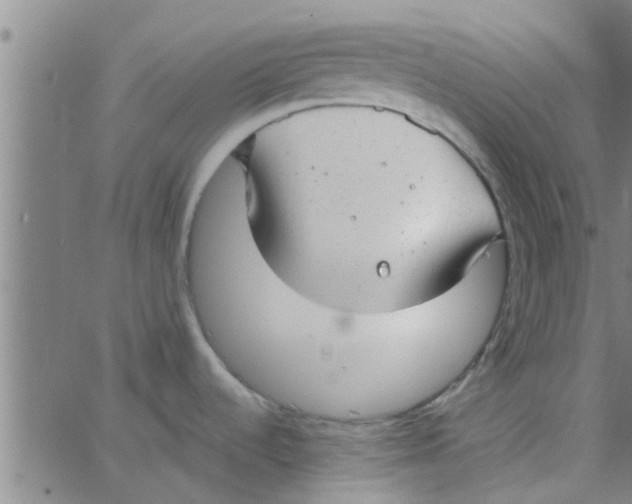 X0000066101536200603312012