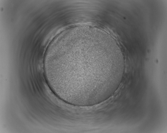 X0000066100002200604071834