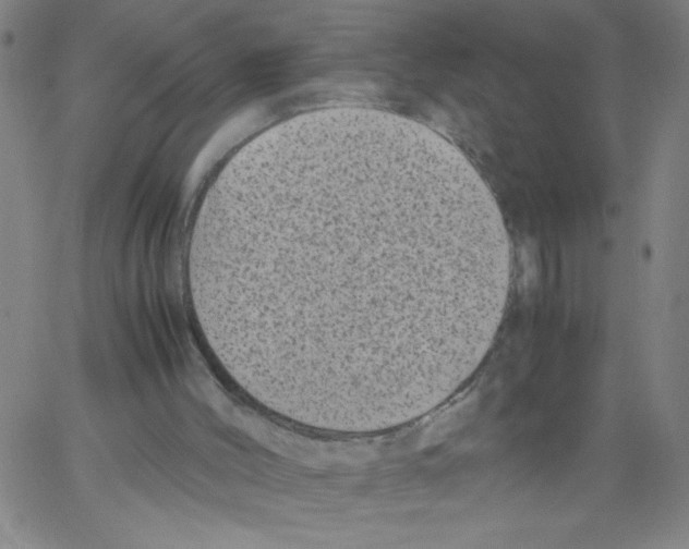 X0000066100004200604071834