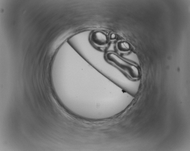 X0000066100005200604071834