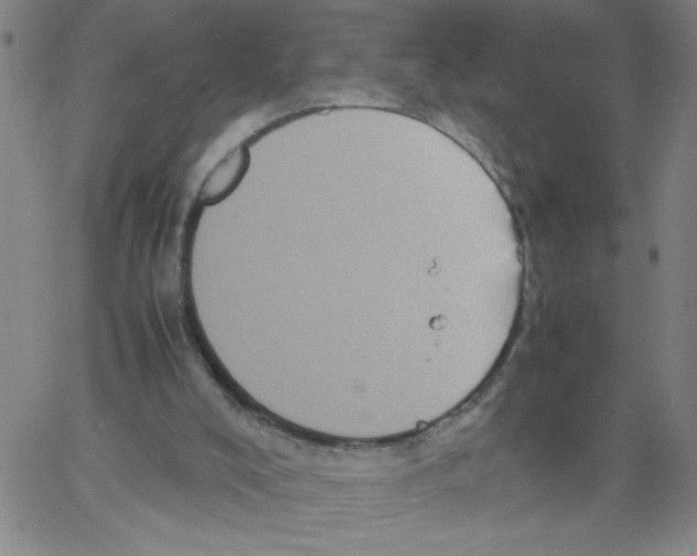 X0000066100008200604071834