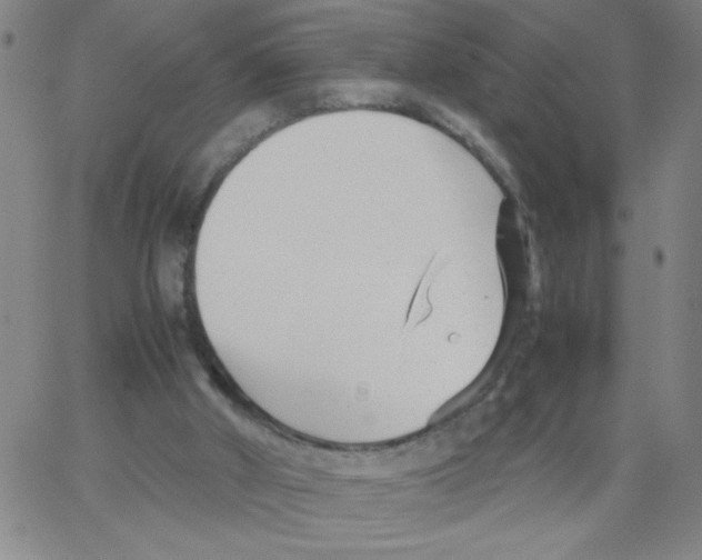 X0000066100010200604071834