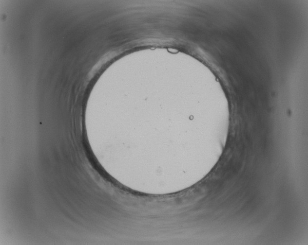 X0000066100011200604071834