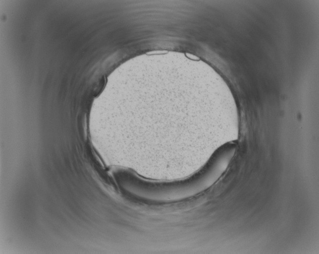 X0000066100013200604071834