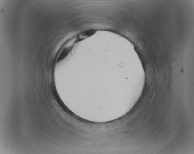 X0000066100015200604071834