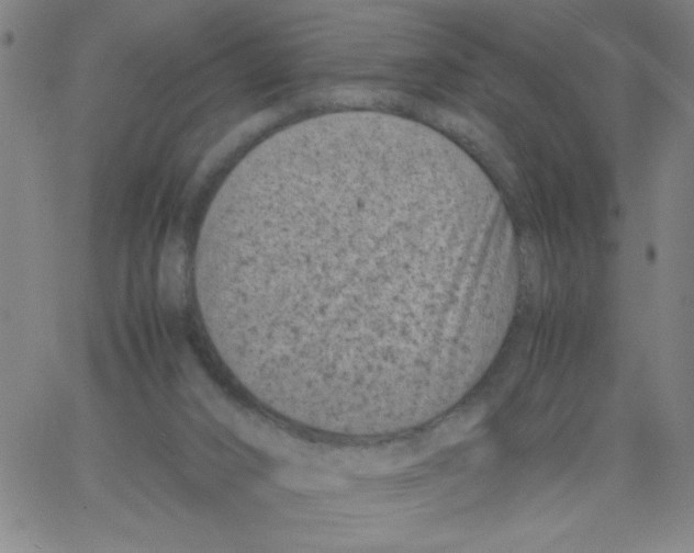 X0000066100016200604071834