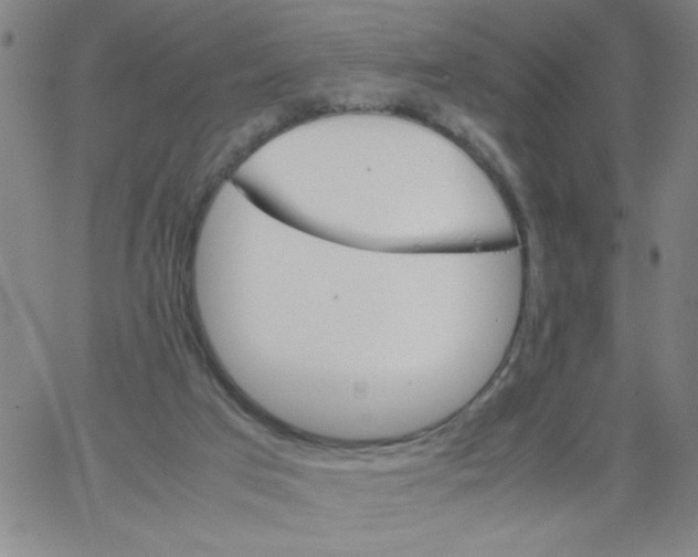 X0000066100017200604071833