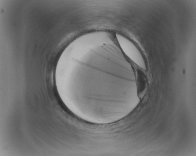 X0000066100019200604071833