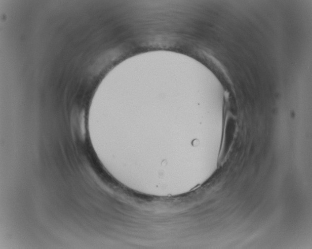 X0000066100020200604071833