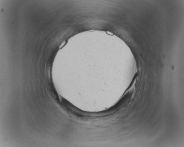 X0000066100021200604071833