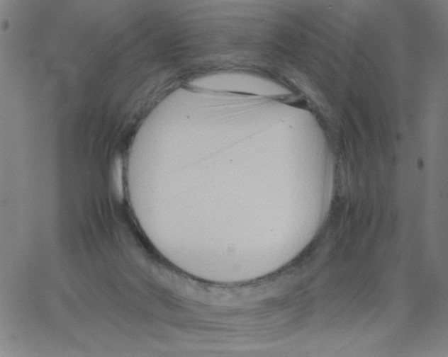 X0000066100022200604071833