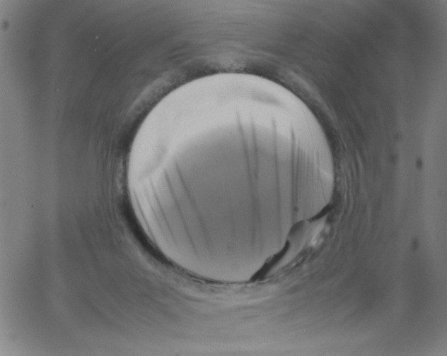 X0000066100023200604071833