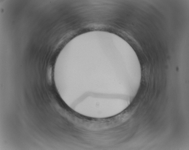 X0000066100024200604071833