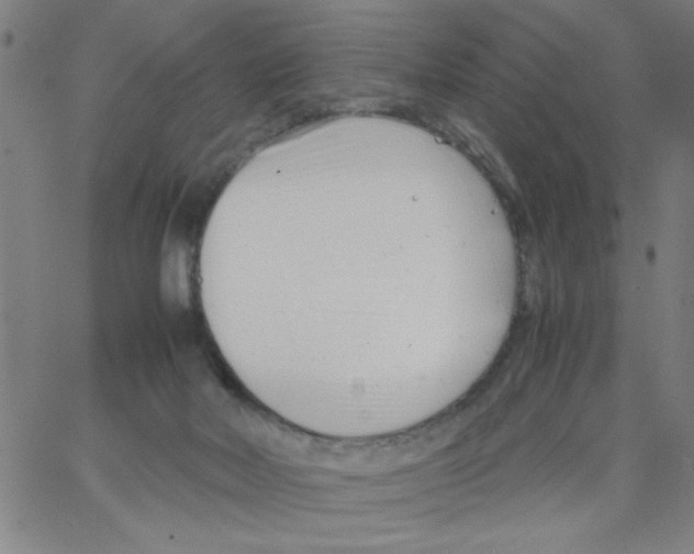 X0000066100026200604071833