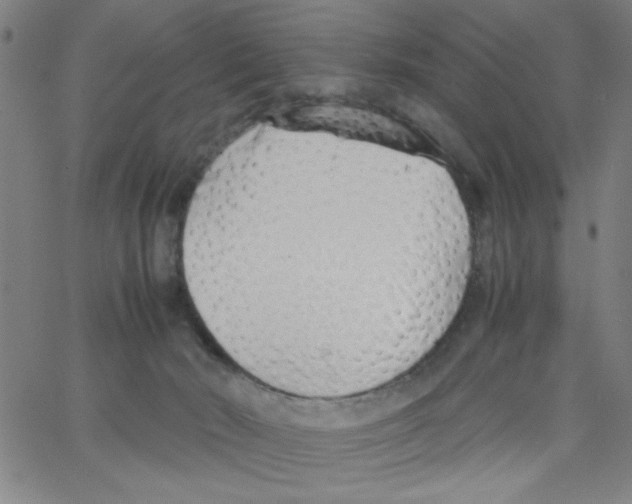 X0000066100030200604071833