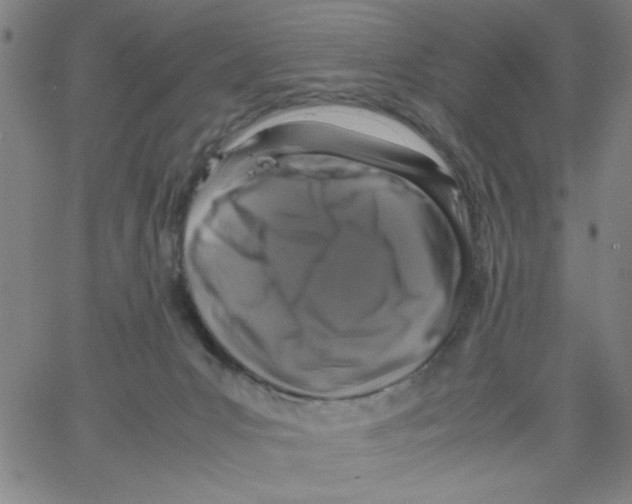 X0000066100031200604071833