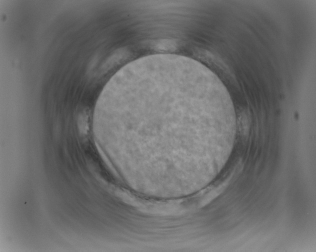 X0000066100032200604071833