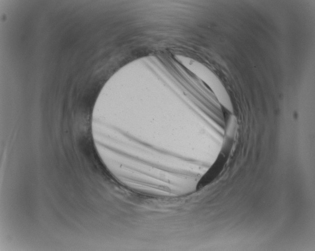 X0000066100033200604071833