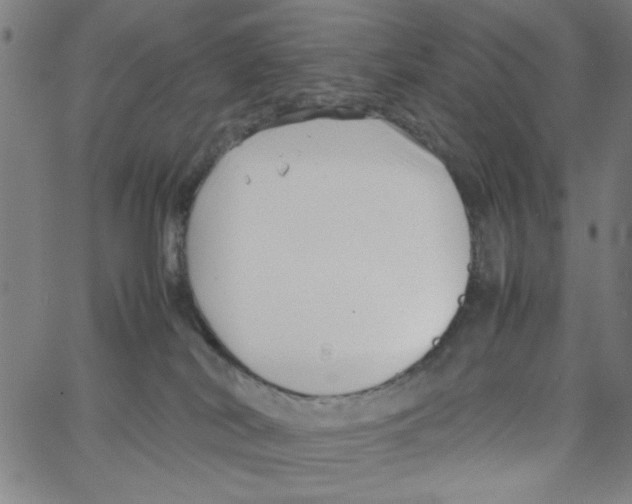 X0000066100038200604071833