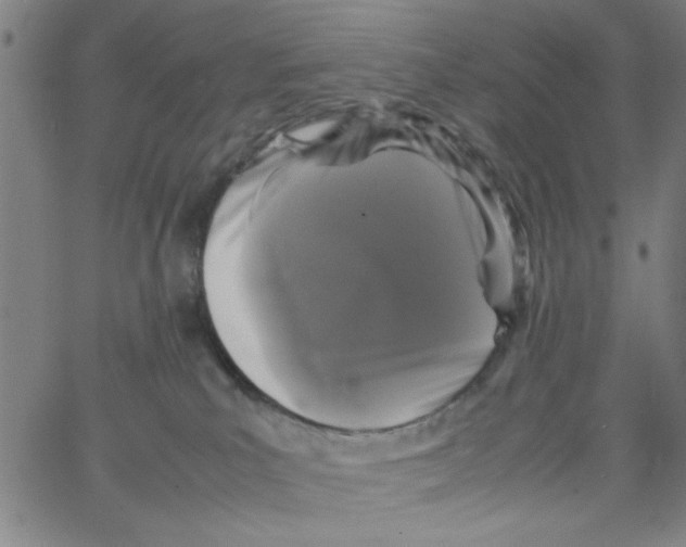 X0000066100039200604071833