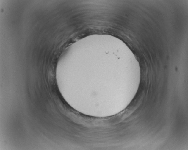 X0000066100040200604071833