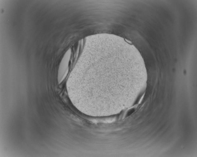 X0000066100041200604071833