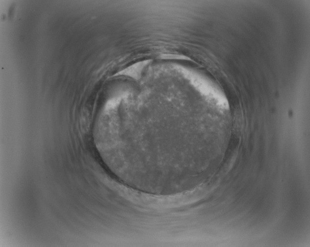 X0000066100043200604071833