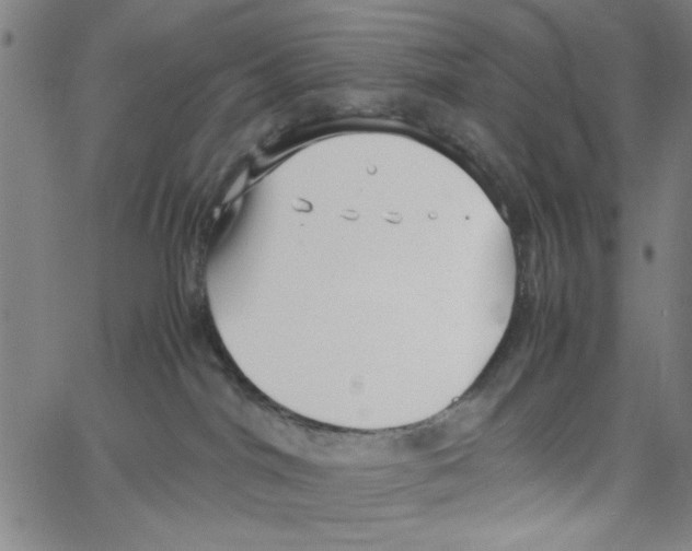 X0000066100044200604071833