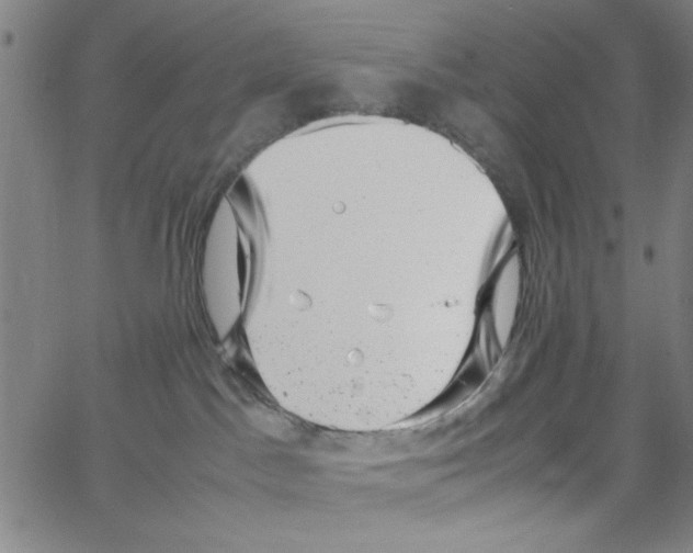 X0000066100045200604071833