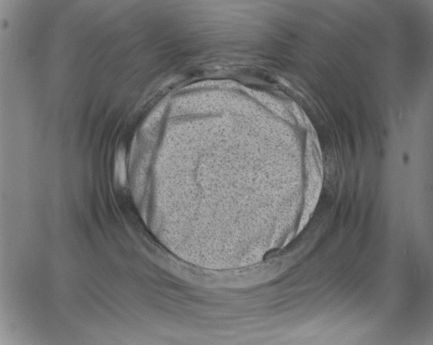 X0000066100046200604071833